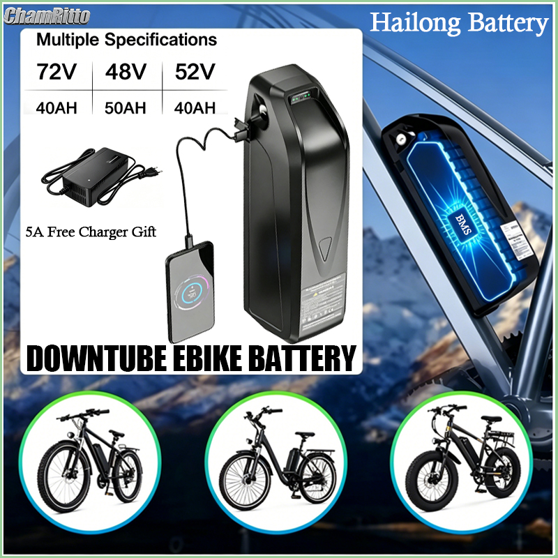 Batería para Bicicleta Eléctri - Ebike Battery 48V 20Ah Hailong reseña y precio